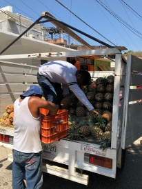 Truckload of pineapple